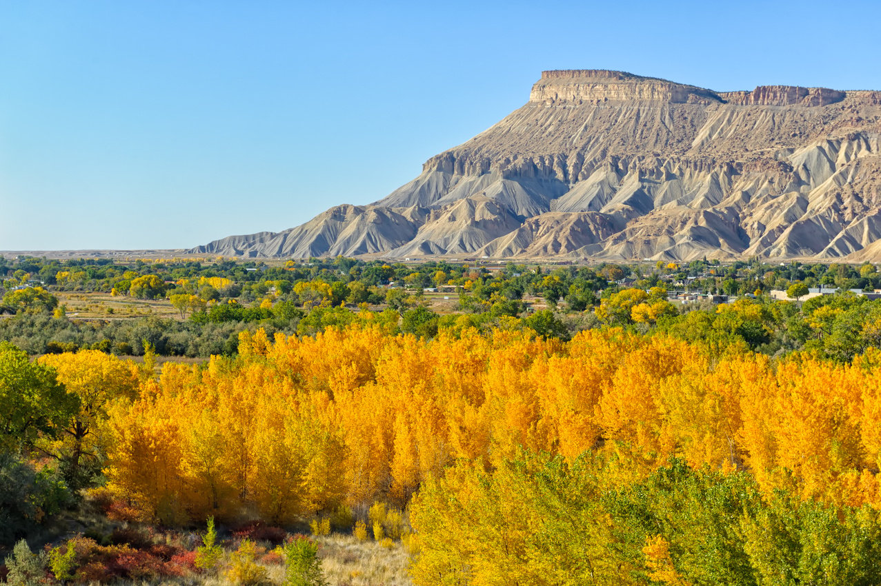 Grand Junction Colorado Fall Colors